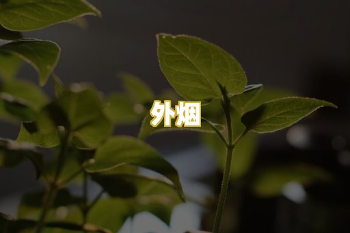 外烟