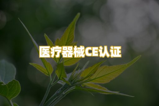 医疗器械CE认证